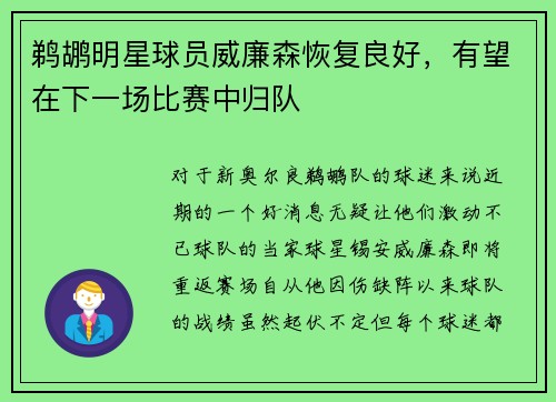 鹈鹕明星球员威廉森恢复良好，有望在下一场比赛中归队